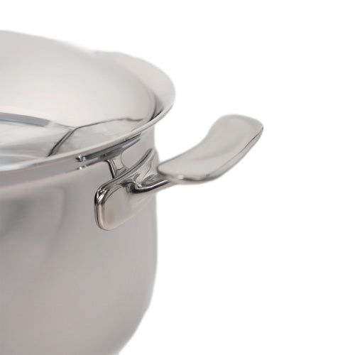 5-Ply Stainless Steel Stock Pot, 10 QT